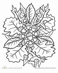 Almost files can be used for commercial. Oak Tree Mandala Worksheet Education Com