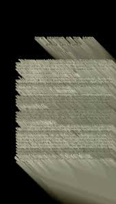 Image result for Oldfieldia macrocarpa