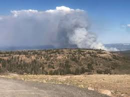 Fire management officials in shoshone national forest recognize that forest fires are a natural part of the ecosystem; Wildfires Burning Near Cedar City And In Utah County