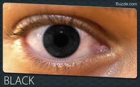 Black Eyes Brown Eyes Facts Rare Eye Colors Eye Color Facts