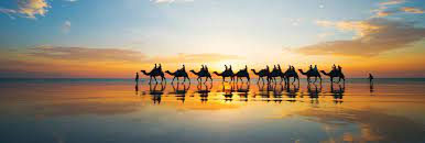 It all started in the 1970s with one man and plan to ride a camel 12,000 km from adelaide to mecca. Cable Beach Broome Australia S North West