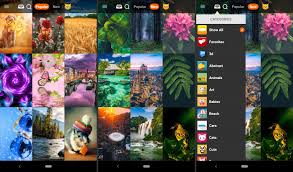 Apps, ringtones, themes, wallpapers, books. The Best Free Wallpaper Apps For Android In 2021