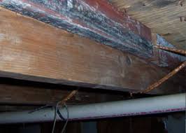 Wood termite and pest control smithfield •. Repair Wood Damage Near Durham Raleigh Greenville Rot Mold Termite Damage Repair In North Carolina