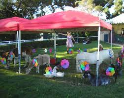 Check spelling or type a new query. Pin On Petting Zoo Animals