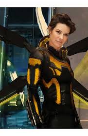 Hope van dyne is a character portrayed by evangeline lilly in the marvel cinematic universe film franchise, loosely based on the marvel comi. The Wasp Hope Van Dyne Jacket