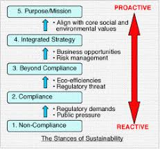 5 Stages Of Sustainability Sustainability Risk Management Business Strategy