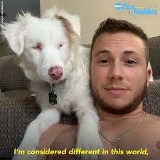 This blind and deaf dog named Plum is so loved by her transgender dad: "I  kind of see herself in me." https://gma.abc/3jD6mmW