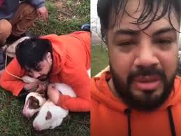 Lo atacaron dos pitbulls pero es experto en artes marciales: los redujo con  una toma y salvó su vida