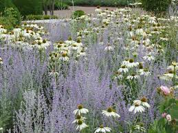 Sietske S Blog Seite 2 Von 12 Die Entstehung Eines Gartens Bepflanzung Garten Garten Pflanzen