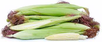 Baby Corn Information And Facts