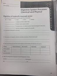 solved 39 name lab time date digestive system processes