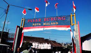 Membudidayakan burung kenari termasuk peluang usaha yang begitu bagus sekarang ini. Harga Burung Kenari Naik Lagi Ini Daftar Harga Kenari Di Malang Burungnya Com