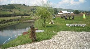 Rezervati chiar acum o vacanta si profitati de cea mai buna statiune climaterica din situata in regiunea istorica bucovina de sud, gura humorului este una dintre statiunile turistice care strang an de an sute de mii de turisti, datorita. Bookfast Ro Pensiunea Elegance Gura Humorului Romania