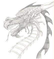 Drawing of an earth dragon! Easy Drawing Dragon Drawing Head Hard
