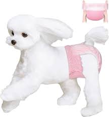 Amazon.com : Ambreview Disposable Dog Diapers Female, Just Pull It Up,  Doggie Diapers for Female Dogs, Strong Absorbency | Leak Proof, for Dogs in  Heat | Elderly | Disabled, S 10 PCS : Pet Supplies