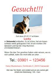 Vermisste Tiere Hund Oder Katze Wiederfinden Philognosie