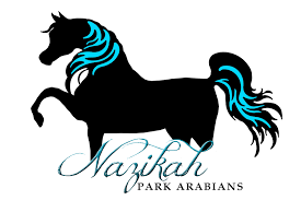 Stud Logo Arabians Moose Art Animals