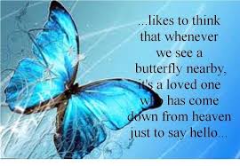 Black And White Spotted Butterfly Meaning Butterfly Meanings Butterfly Quotes Butterfly Butterfly Meaning