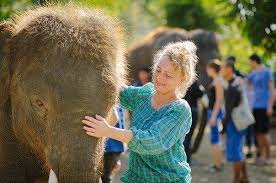 Volunteer Abroad With Animals Conservationists Animals Work With Animals Volunteer Abroad