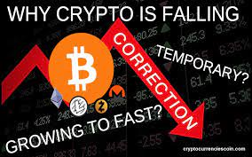 Cryptocurrecy's biggest problem is also its greatest investment advantage: What S Happening To Crypto Market Down