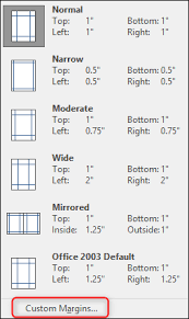 professional rsum in microsoft word