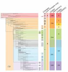 And the coalition for epidemic preparedness innovations (cepi). Https Rega Kuleuven Be If Pdf Corona