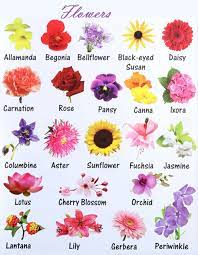 Learn English Vocabulary Through Pictures Flowers And Plants Eslbuzz Learning English English Flowers English Vocabulary Learn English Vocabulary