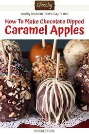 Basic Chocolate Dipped Caramel Apples Chocoley Com Gourmet Apples Caramel Apples Recipe Caramel Apples Homemade