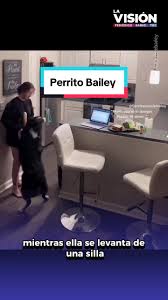 Bailey, el perrito héroe que salvó a su dueña