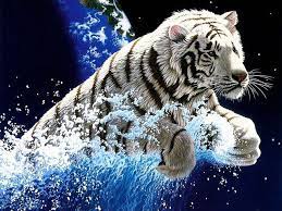 Live Wallpaper Hd Free Download