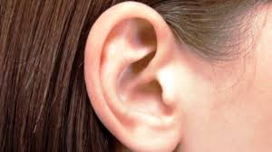 Image result for arte paranoica 1981 2021