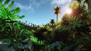Explore › hd wallpapers › desktop. Free Download Wallpaper Best Wallpaper Parrot Nice One High Resolution Wallpaper 1920x1200 For Your Desktop Mobile Tablet Explore 49 High Def Backgrounds Wallpapers High Def Wallpapers 1920x1080 Widescreen Wallpapers