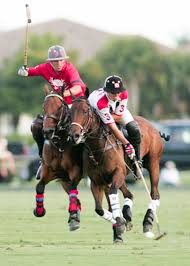 How many irregular verbs are there in english? Polo Definition And Synonyms Of Polo In The Malay Dictionary