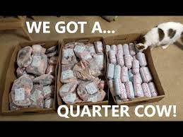 We Got A Quarter Cow Everything You Want To Know Youtube