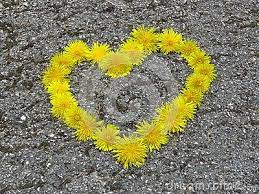 Pin On Dandelion
