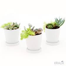 This miniature cactus will cleverly hold and display your rings and other small pieces of jewelry. Succulent Pots Small Ceramic Flower Planter Pot Containers Cactus Planter With Drainage Hole Set Of 3 Pcs Buy Online In Grenada At Grenada Desertcart Com Productid 124809502