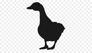 Ente Gans Silhouette Zeichnen Gans Png Herunterladen 512 512 Kostenlos Transparent Geflugel Png Herunterladen