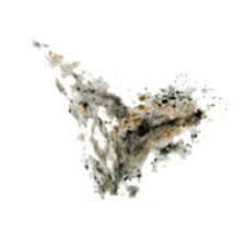 You can easily avoid moldy or mildew rugs growing on your walls or under appliances. How To Get Mold Out Of Carpet Spot Removal Guide