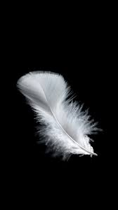 Download Zte Nubia Zs Stock Wallpapers Full Hd Feather Photography Feather Wallpaper Black Wallpaper