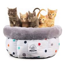 We did not find results for: Allisandro Small Pet Bed Cozy Deep Donut Cuddler Machine Washable Cat Dog Bed Medium Round Cat Bed W Anti Slip Resistant Bottom Design Pet Oval Round Bed For Small Animal All Season Use