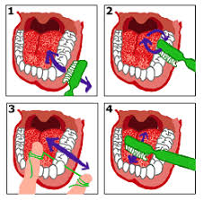 Lavarse Los Dientes Despues De Cada Comida Espai Escoles