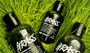 Lush Grass Body Wash You Won T Smell Like A Lawn But It S Still Super Refreshing With Images Lush Cosmetics