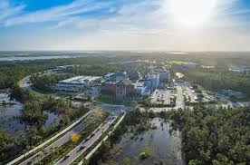 Florida Gulf Coast University Foundation Inc Guidestar Profile