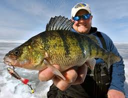 The Rotating Power Minnow is a...