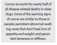 If your cancer is tricky to diagnose, the pathologist may write extra comments. If The Cancer Surgeon Got Clean Margins Why Did The Tumor Grow Back Tuftsyourdog
