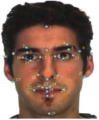 Computation of a Face Attractiveness Index Based