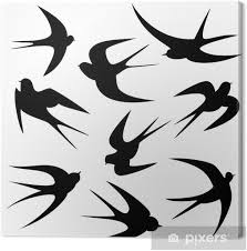 Alle angebotenen fahrzeuge verfügen über eine detaillierte zustandsbeschreibung und aussagekräftige bilder. Leinwandbild Schwalben Tattoo Vorlage Vektor Silhouette Pixers Wir Leben Um Zu Verandern
