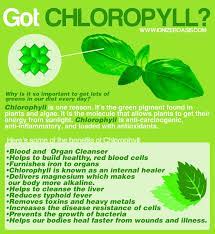 Studies have found that chlorophyll and liquid chlorophyllin can bind to potential carcinogens and interfere with how they're absorbed. Got Chlorophyll In 2021 Chlorophyll Liquid Chlorophyll Benefits Chlorophyll Benefits