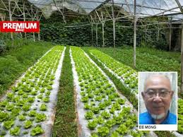 Harga sayuran terkini di malaysia kesan buruk glow glowing beauty skin kesan obesiti kanak kanak kesan pembinaan negara dan bangsa kesan jerebu kepada manusia kesan fenomena el nino di malaysia kesan jika tidak mengamalkan kitar semula kesan dadah terhadap koordinasi badan kesan negatif penyalahgunaan dadah terhadap diri keluarga dan negara kesan media sosial terhadap masyarakat kesan gotong royong kepada masyarakat Harga Sayur Sayuran Naik Hingga 40 Peratus