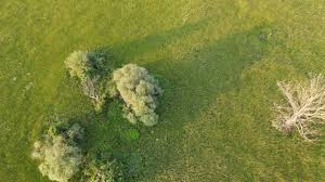 Ingatlan és albérlet hirdetési portál, vidéken is hatékonyan! Gyirmoti Horgaszfalu Mavic Air 2 Youtube